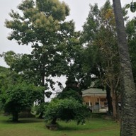 บรรยากาศ วัดพระธาตุบังพวน