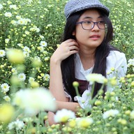 บรรยากาศ ทุ่งดอกเก็กฮวย ไร่นายพล