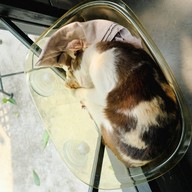 วิมานคาเฟ่ Wiman cafe 1