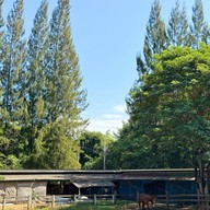 จูน เขาใหญ่