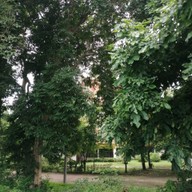 บรรยากาศ วัดพระธาตุบังพวน