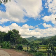 บรรยากาศ ทุ่งดอกเก๊กฮวย บ้านอมลอง