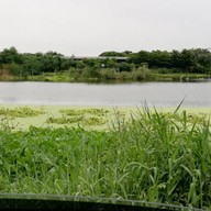 ก๋วยเตี๋ยวเนื้อ Ni Tui