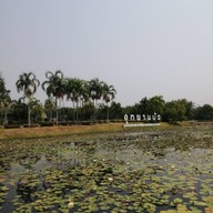 บรรยากาศ อุทยานบัวเฉลิมพระเกียรติ
