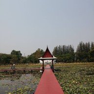 บรรยากาศ อุทยานบัวเฉลิมพระเกียรติ