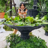 Dek-Cha หัวน้ำตกซอย10