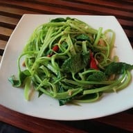 แมกไม้ชายคลอง