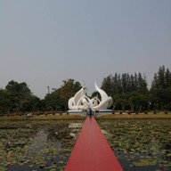 บรรยากาศ อุทยานบัวเฉลิมพระเกียรติ