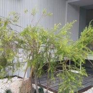 หน้าร้าน CMD_Salaya