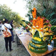 หลวงปู่อือลือ เกาะดอนโพธิ์ บึงโขงหลง บึงกาฬ