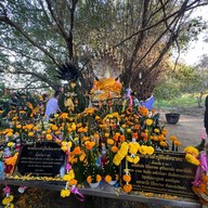 หลวงปู่อือลือ เกาะดอนโพธิ์ บึงโขงหลง บึงกาฬ