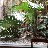 บรรยากาศ CMD_Salaya