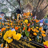 หลวงปู่อือลือ เกาะดอนโพธิ์ บึงโขงหลง บึงกาฬ