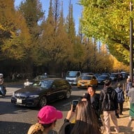 บรรยากาศ Meiji Jingu Gaien Ginkgo Avenue