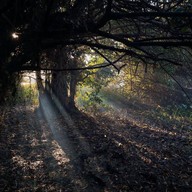 หลวงปู่อือลือ เกาะดอนโพธิ์ บึงโขงหลง บึงกาฬ