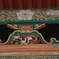 บรรยากาศ Nikko Toshogu Shrine