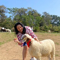 บ้านแกะแม่ชิ