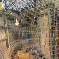 Ueno Zoo
