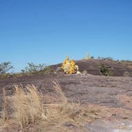 บึงกาฬ ถ้ำนาคา