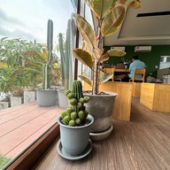 Lita cafe & Roaster  ลาดกระบัง