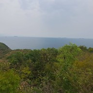 จุดชมวิวกังหันลม