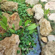 Pruek Cafe And Garden