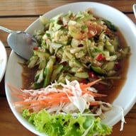 อารยา เขื่อนสิรินธร