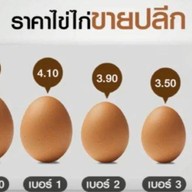 สถานีนมหมีปั่น( BEAR CUP MILK)