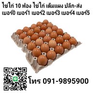 ขนมจีนน้ำยา กระต่ายสาว