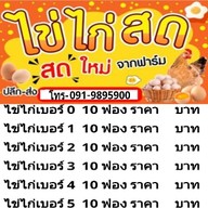 ขนมจีนน้ำยา กระต่ายสาว