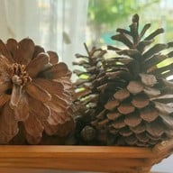 ลภัสโฮม คอฟฟี่ -