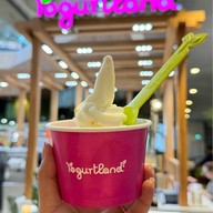 Yogurtland สเปล