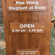 Mae Wang Elephant  at River
