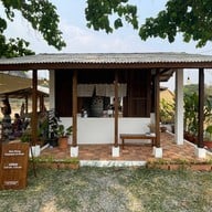 Mae Wang Elephant  at River