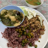 นิตย์ อาหารเจ