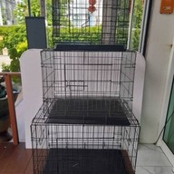 I-Animal petshop วัชรพล5