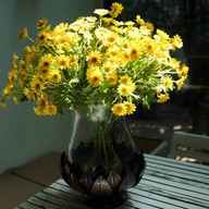 มะนาว ก๋วยเตี๋ยวในสวน