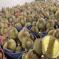บ้านทุเรียนแกะเนื้อ จันทรดี 114 โลตัสปิ่นเกล้า