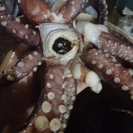 ยำ กะ ตำ