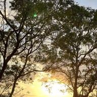 บรรยากาศ ตลาดนัด ม. เกษตร ศรีราชา