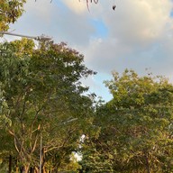 บรรยากาศ ตลาดนัด ม. เกษตร ศรีราชา