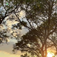 บรรยากาศ ตลาดนัด ม. เกษตร ศรีราชา