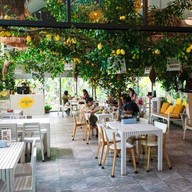 มะนาว ก๋วยเตี๋ยวในสวน