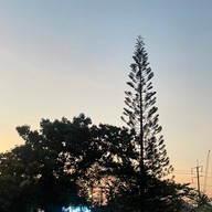 บรรยากาศ ตลาดนัด ม. เกษตร ศรีราชา