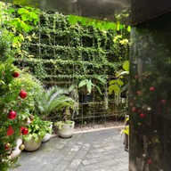 บรรยากาศ Tree space