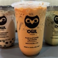 Owl Cha ตลาดยิ่งเจริญ