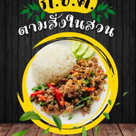 ก.ข.ค. ตามสั่งในสวน บางกร่าง
