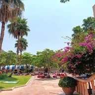 บรรยากาศ Camel Republic