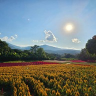 บรรยากาศ Six Flowers Garden