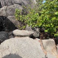 บรรยากาศ จุดชมวิวเกาะนางยวน